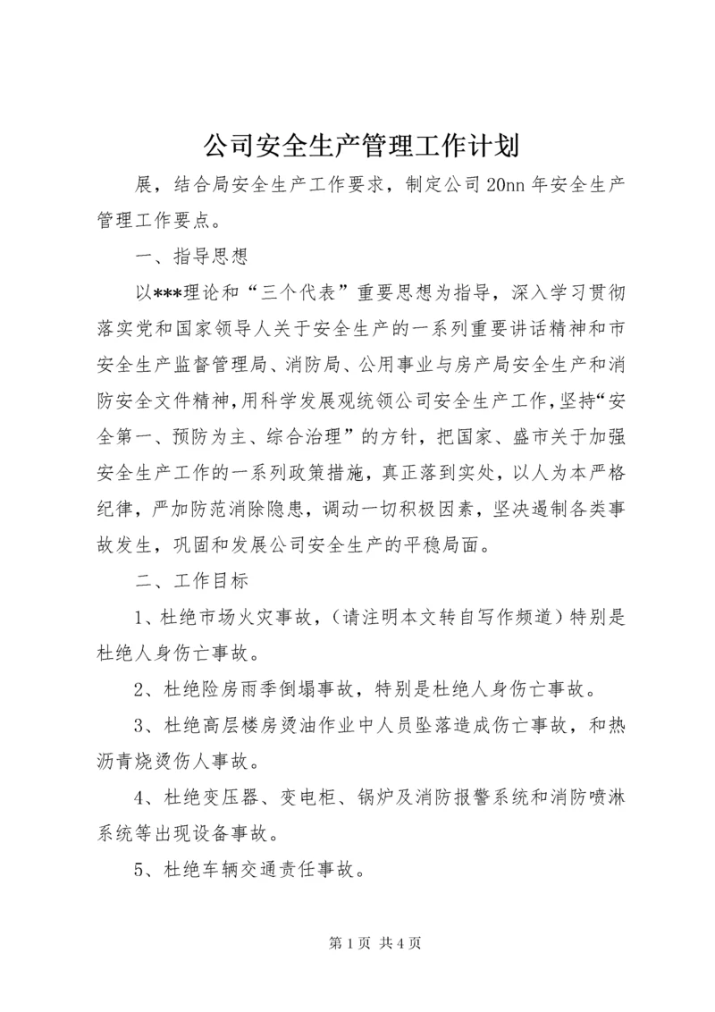 公司安全生产管理工作计划.docx