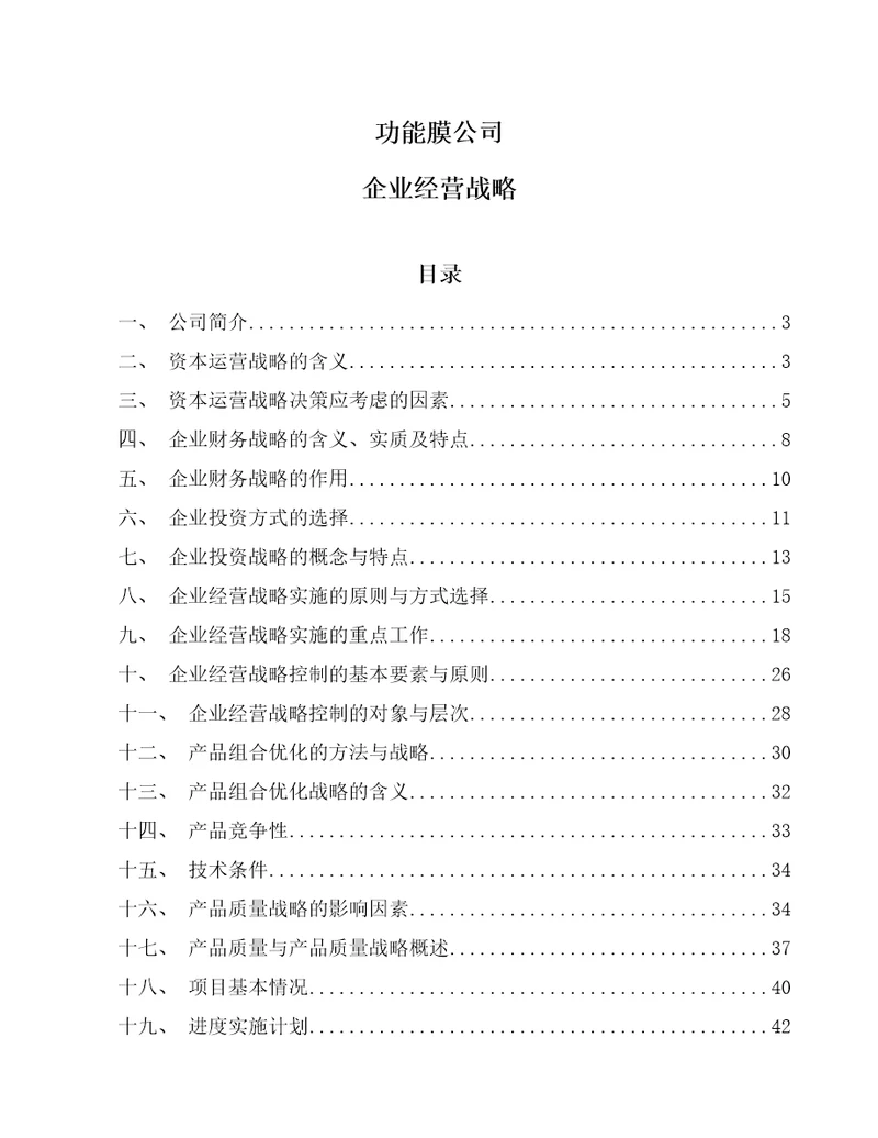 功能膜公司企业经营战略范文