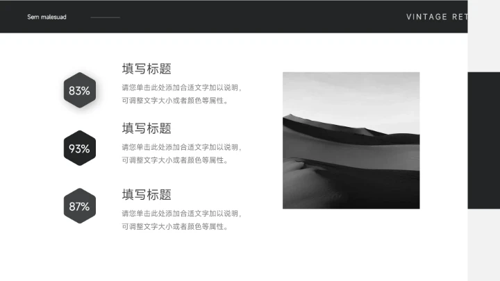 黑色极简主义黑白企业市场计划书PPT模板