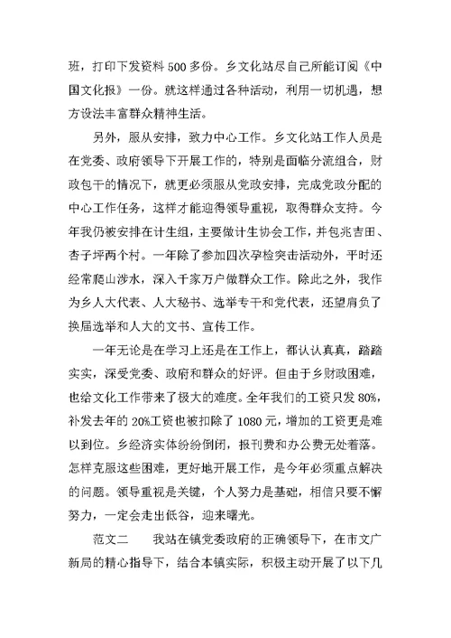 文化站个人工作总结精选范本