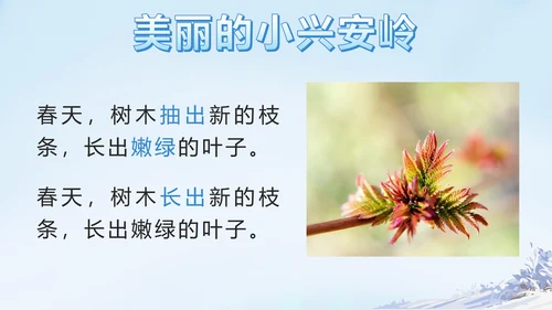 部编版三年级上册第二十课美丽的小兴安岭PPT模板
