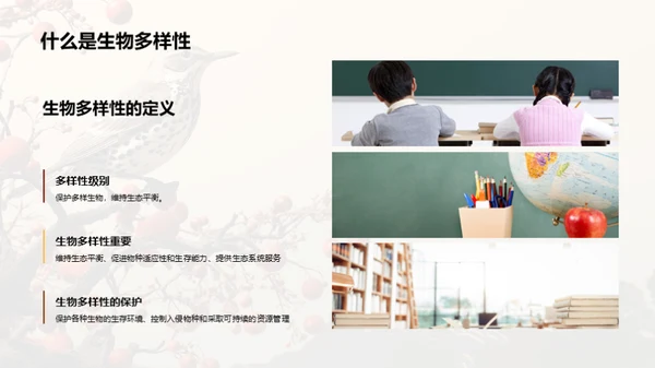 国潮风教育培训教学课件PPT模板