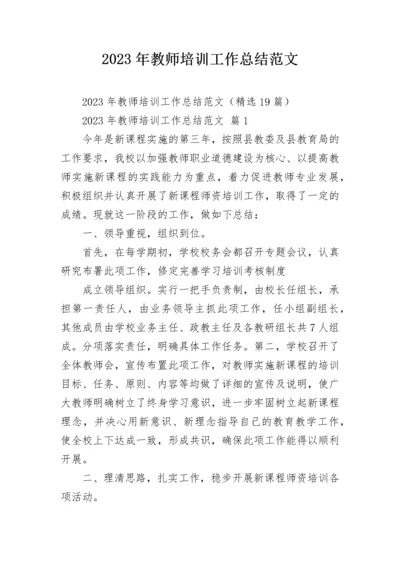 2023年教师培训工作总结范文.docx