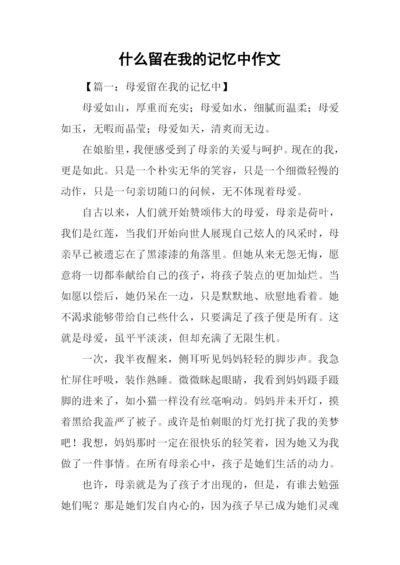 什么留在我的记忆中作文.docx