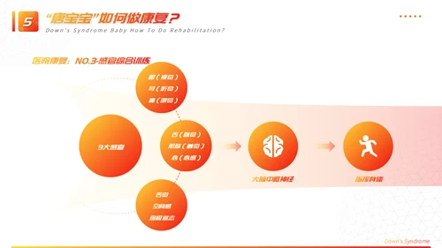 关注唐宝与爱同行PPT模板