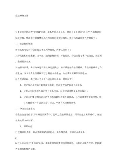 公司筹建方案.docx