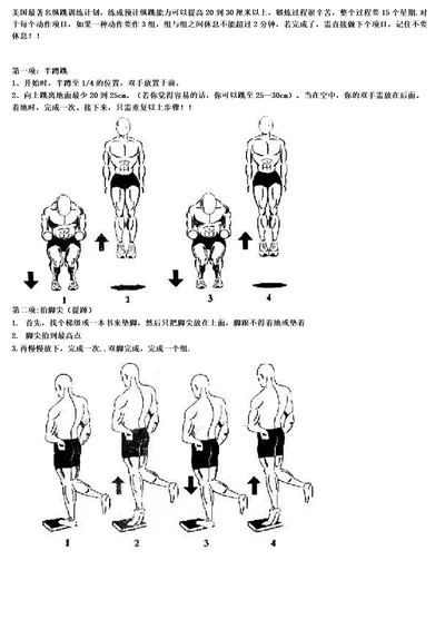 美国著名弹跳力训练附图,计划表