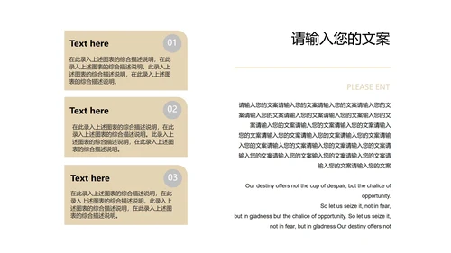 黑色简约风高端经典总结汇报PPT模板