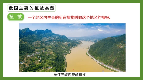 3.6 爱护植被，绿化祖国2023-2024学年七年级生物上册精品课件（人教版）(共21张PPT)
