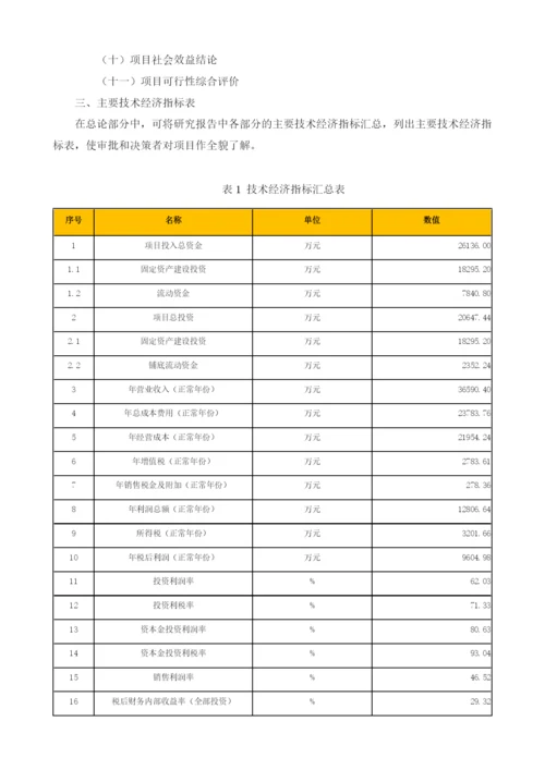 洗涤用品可研报告模板.docx