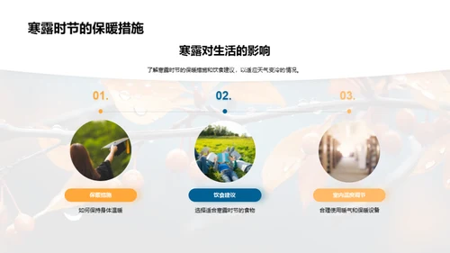探索寒露节气
