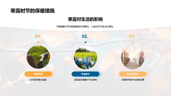 探索寒露节气