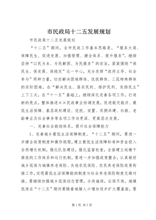 市民政局十二五发展规划.docx