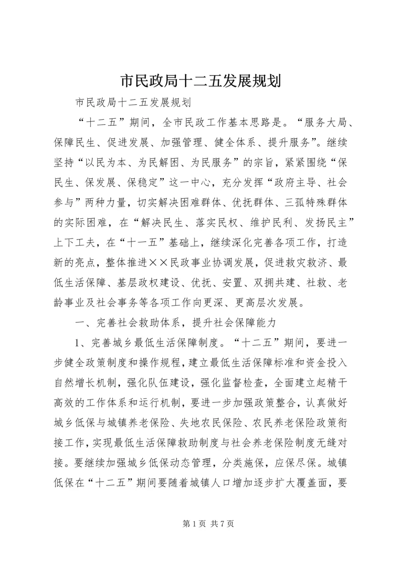 市民政局十二五发展规划.docx