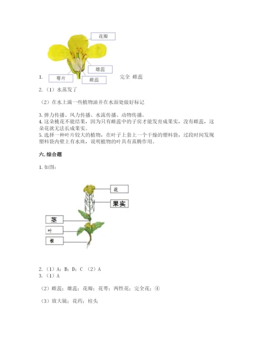 科学四年级下册第一单元《植物的生长变化》测试卷精品【考试直接用】.docx