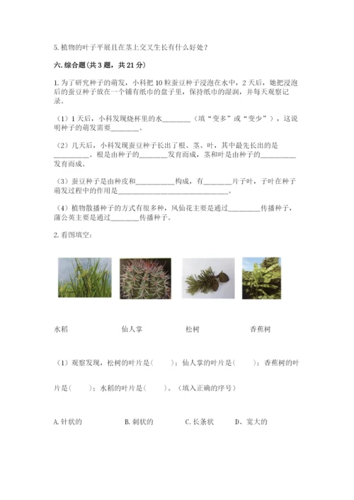 教科版四年级下册科学第一单元《植物的生长变化》测试卷精品（名师推荐）.docx