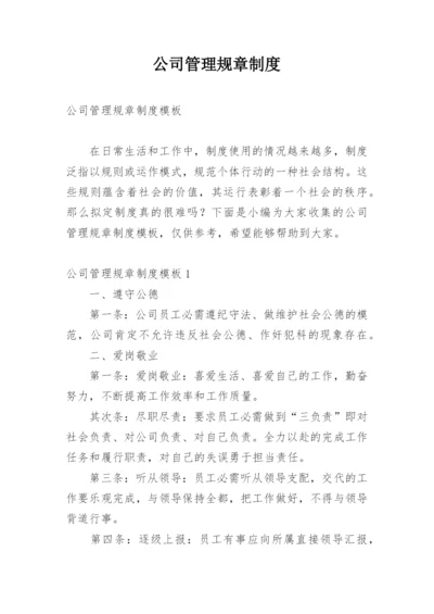 公司管理规章制度.docx