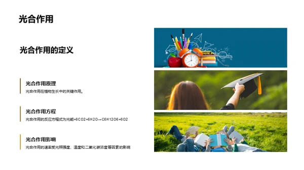 商务风教育培训教学课件PPT模板