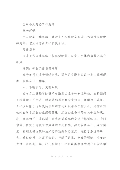 个人年终工作总结(公司财务).docx