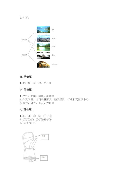 教科版小学二年级上册科学期末测试卷word.docx