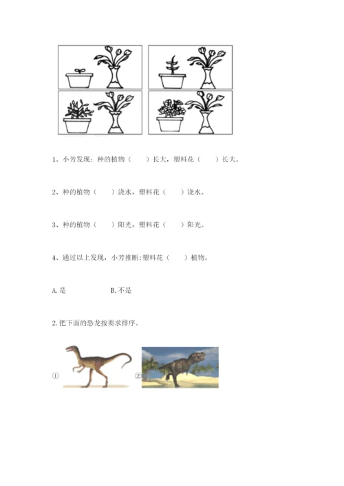 教科版一年级上册科学期末测试卷精品【基础题】.docx