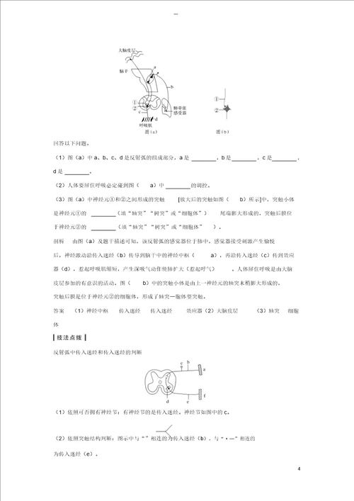 江苏专版2019版高考生物大一轮复习第八单元生命活动的调节第24讲神经调节学案