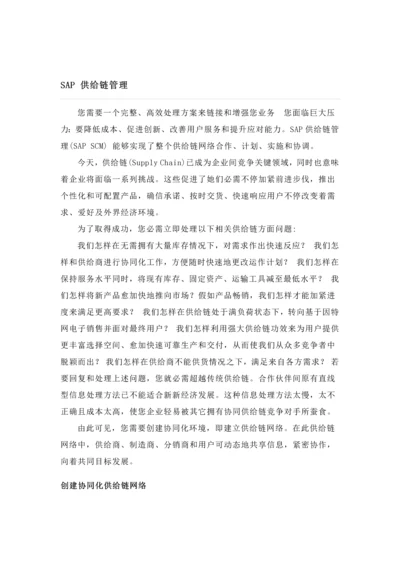 SAP供应链科学管理.docx