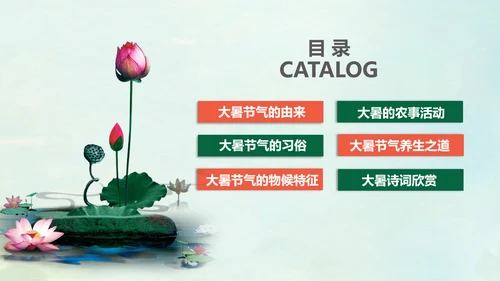 国风荷花二十四节气大暑教学PPT课件