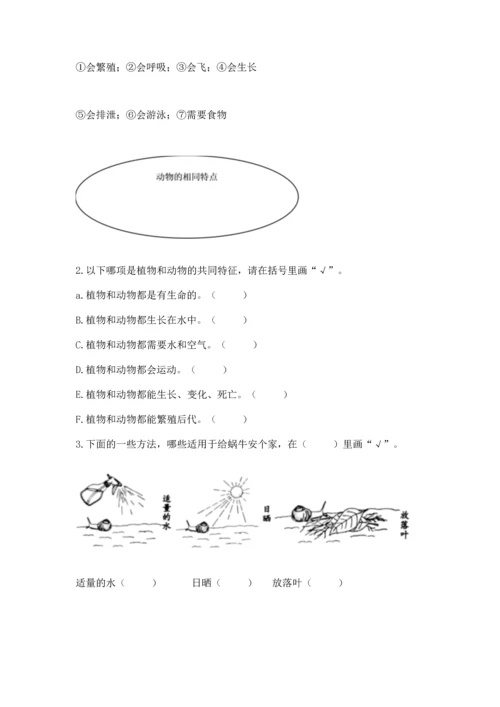 教科版一年级下册科学期末测试卷及参考答案（巩固）.docx