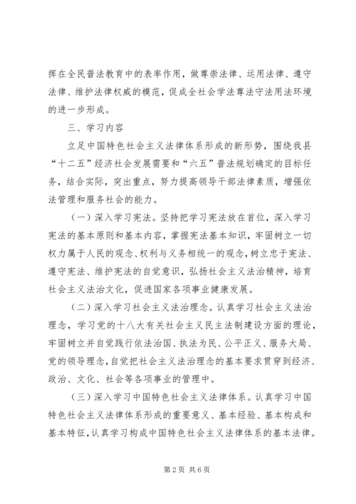 领导干部学法用法活动方案.docx