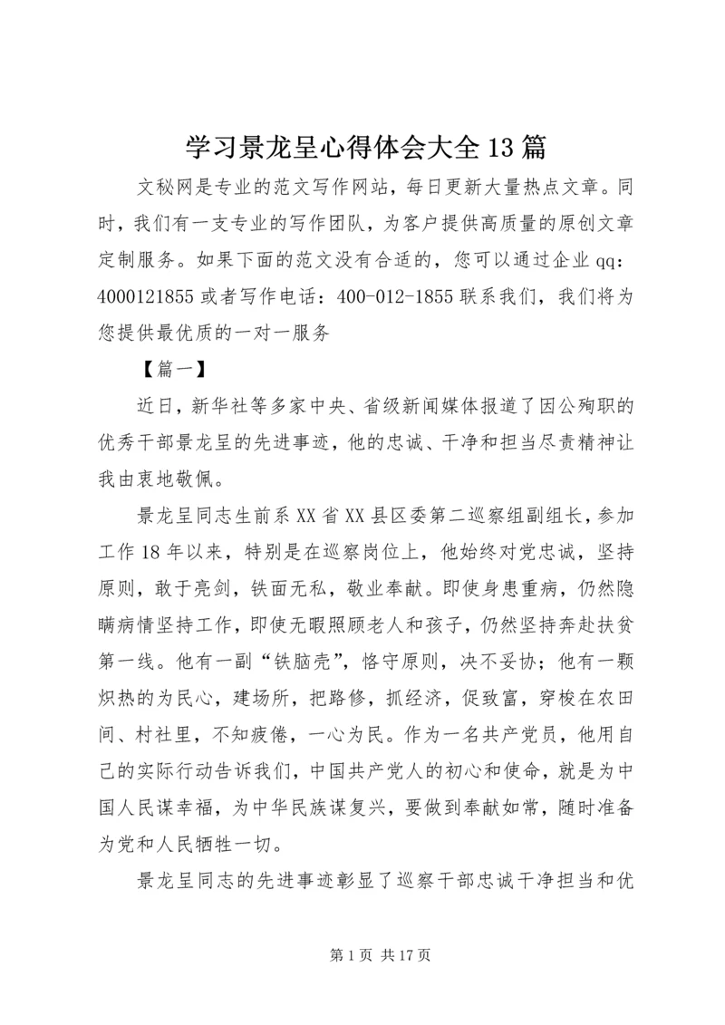 学习景龙呈心得体会大全13篇.docx