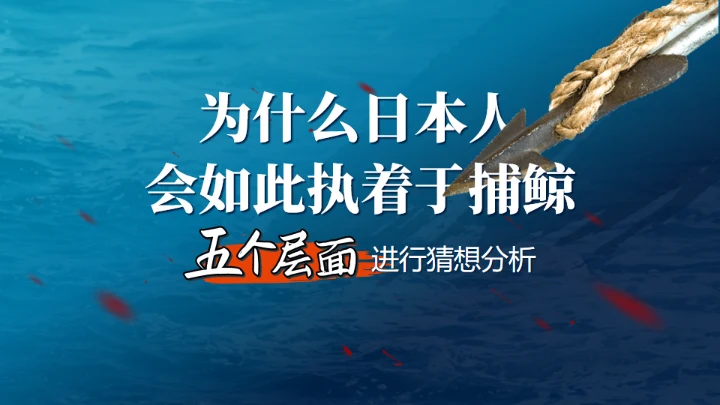 鲸落万物生鲸鱼知识讲座通用PPT模板