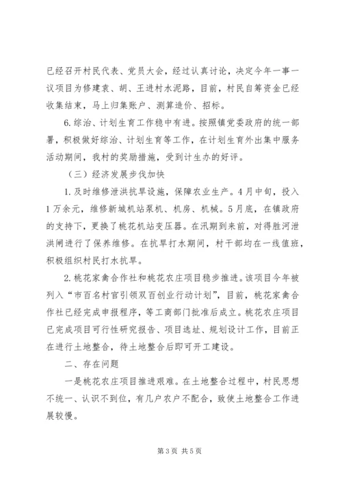 村XX年上半年工作总结和下半年工作计划.docx