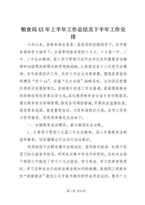 粮食局XX年上半年工作总结及下半年工作安排.docx