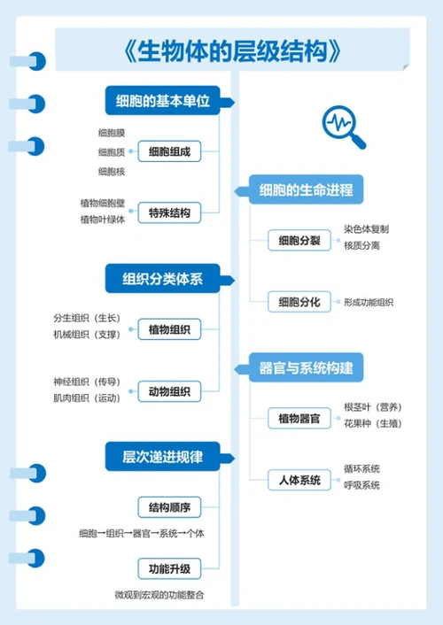 学习笔记-《生物体的结构层次》蓝色word模板