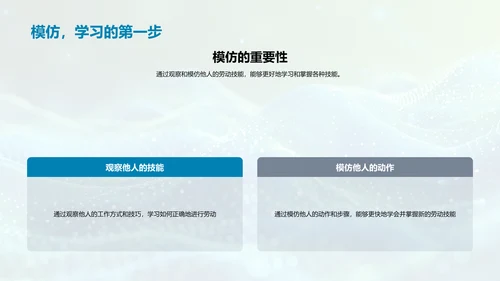 劳动技能的学习和应用