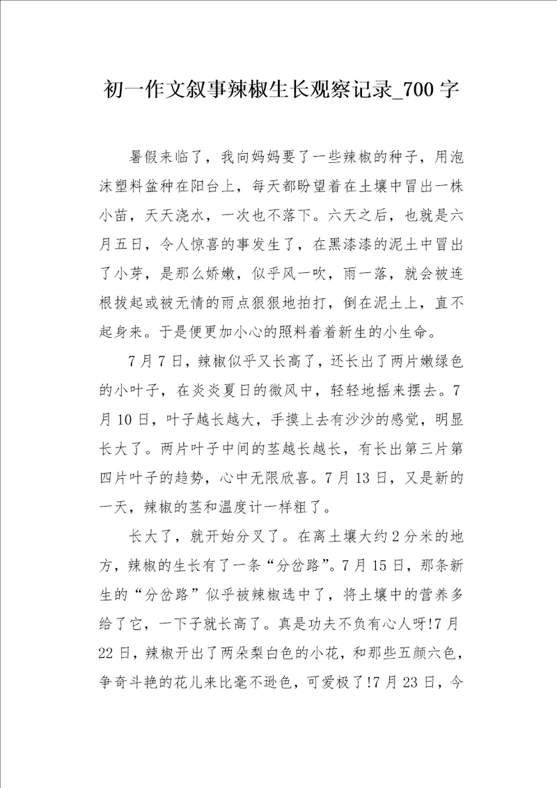 初一作文叙事辣椒生长观察记录700字