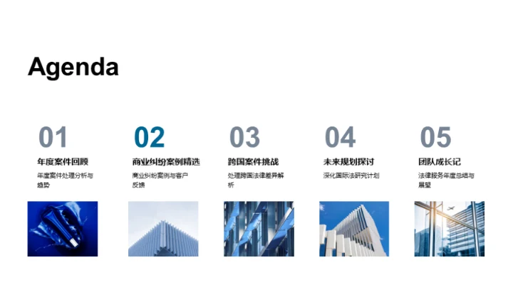 律师年度工作综述