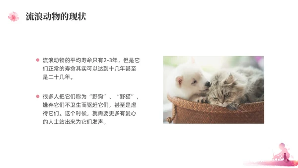 紫红色水彩简约关爱流浪动物宣传教育PPT课件