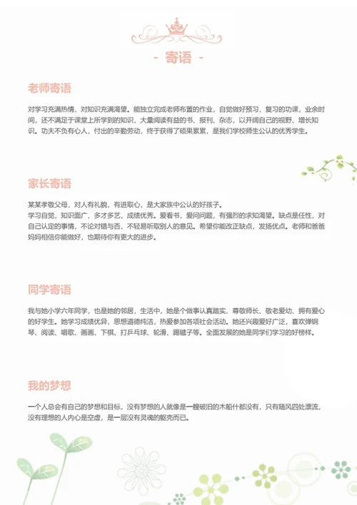 小升初社会实践小明星简历