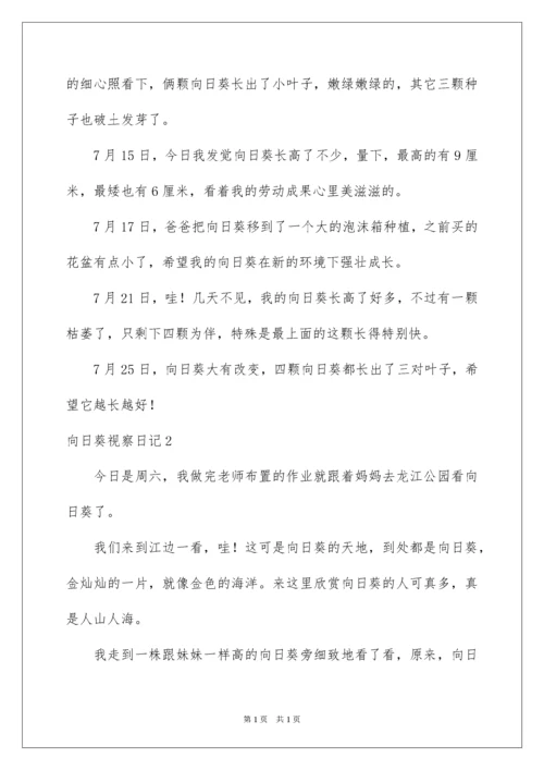 2022向日葵观察日记.docx
