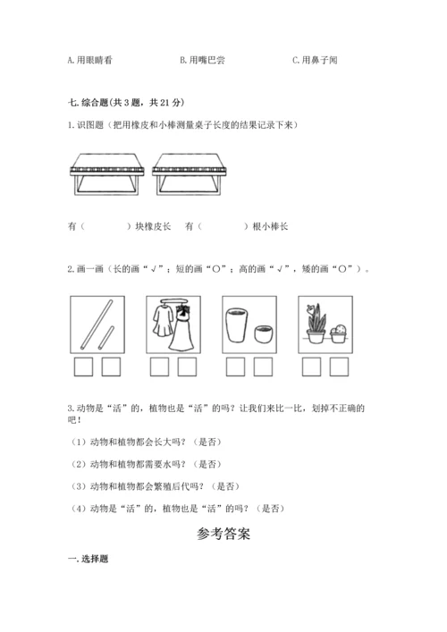 教科版一年级上册科学期末测试卷（基础题）.docx