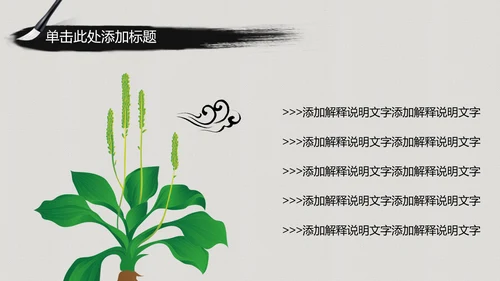 水墨中国风中医学养生保健医院中医文化中草药PPT