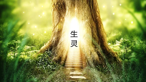 保护野生动物老虎PPT模板
