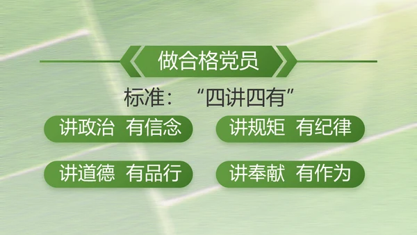 党建引领促发展乡村振兴展画卷PPT