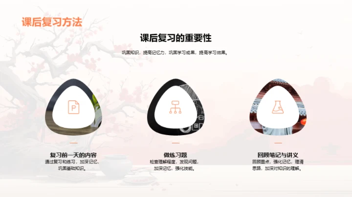 五年级语文学习探索