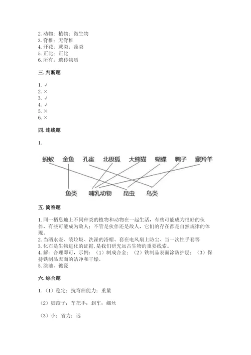 教科版六年级下册科学期末测试卷有答案解析.docx