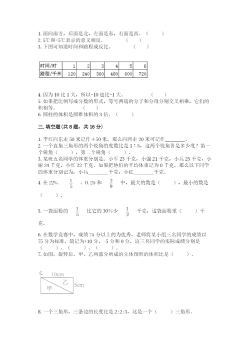 北师大版六年级下册数学期末测试卷【综合卷】.docx