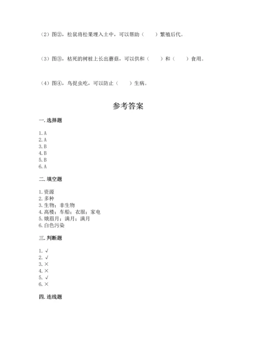 教科版二年级上册科学期末测试卷含答案（培优a卷）.docx