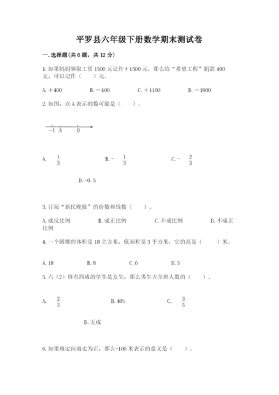 平罗县六年级下册数学期末测试卷（必刷）.docx